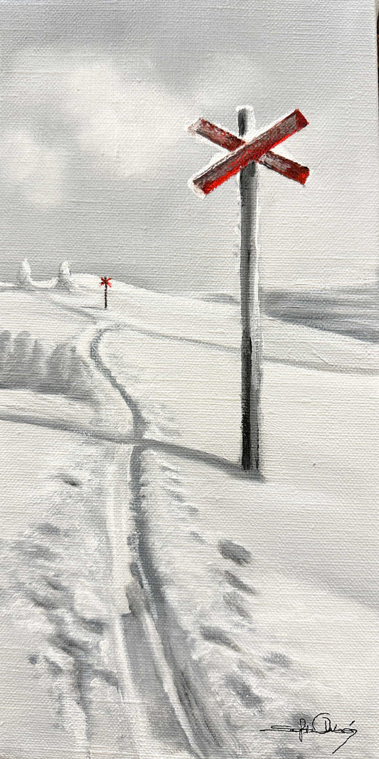 15x30