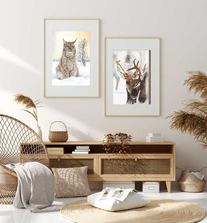 Winter-Lo/ Winter-Lynx 42x60