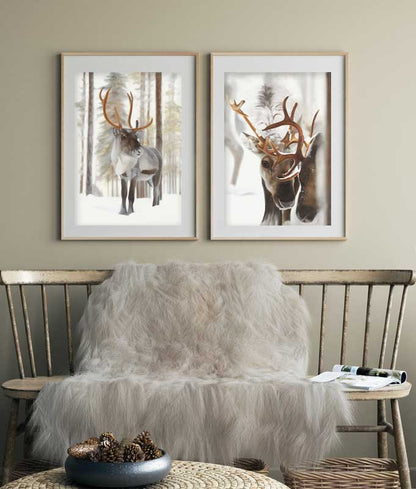 Proud Reindeer 42x60