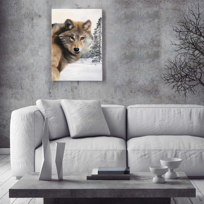 WOLF 50x70
