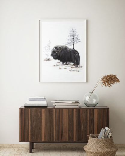 Musk ox 50x70 