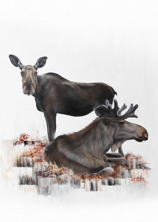 Älg / Moose 50x70
