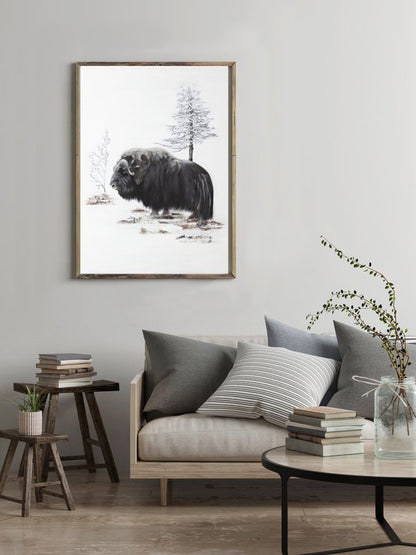 Musk ox 50x70 