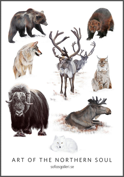 2 copies left! 70x100