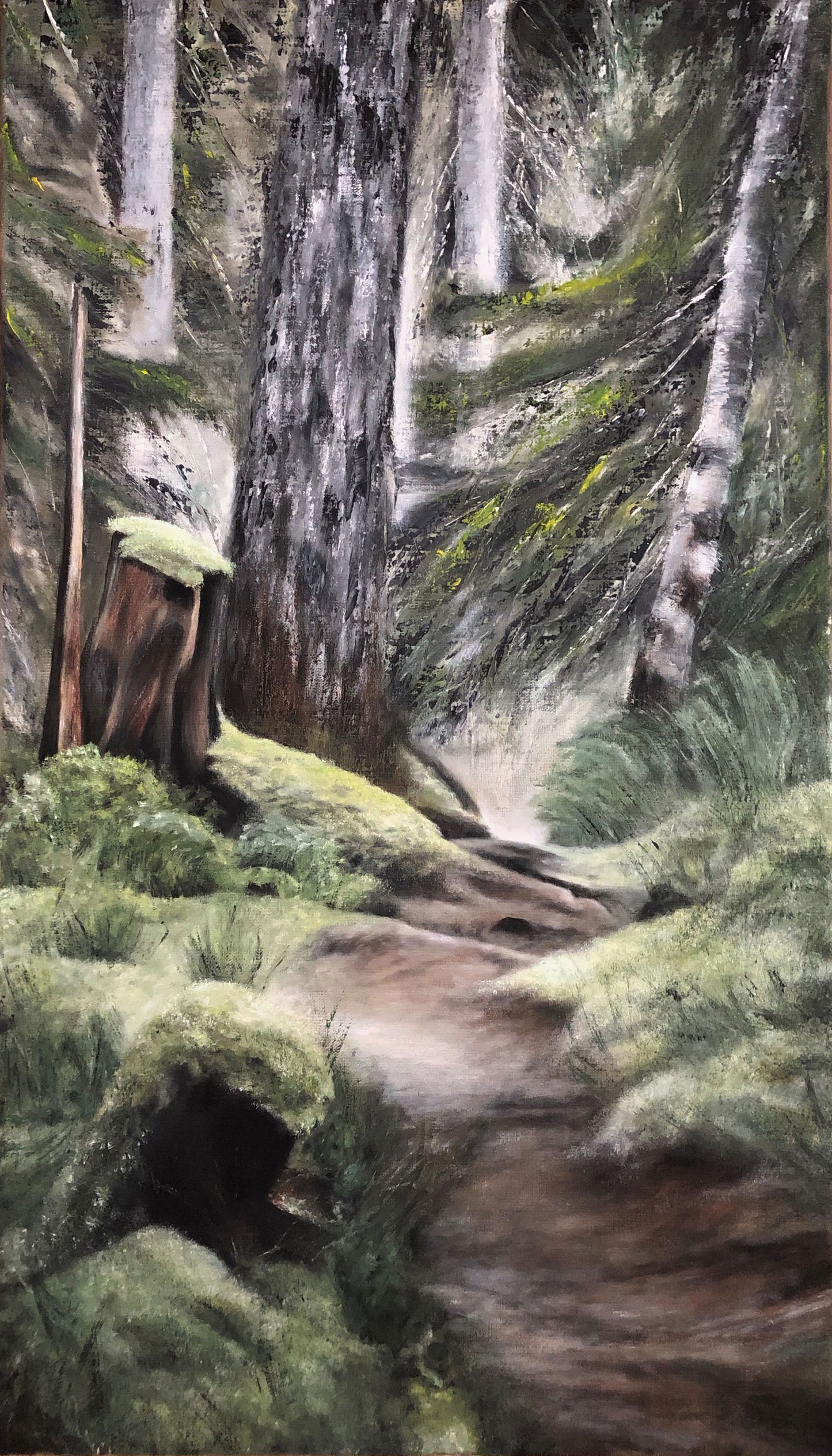 40x70