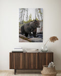 JAMTLANDCOUNTY BEAR 70x100