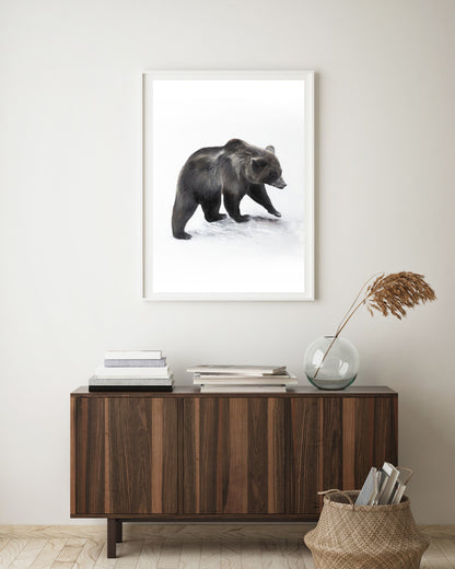 Bear II 50x70 