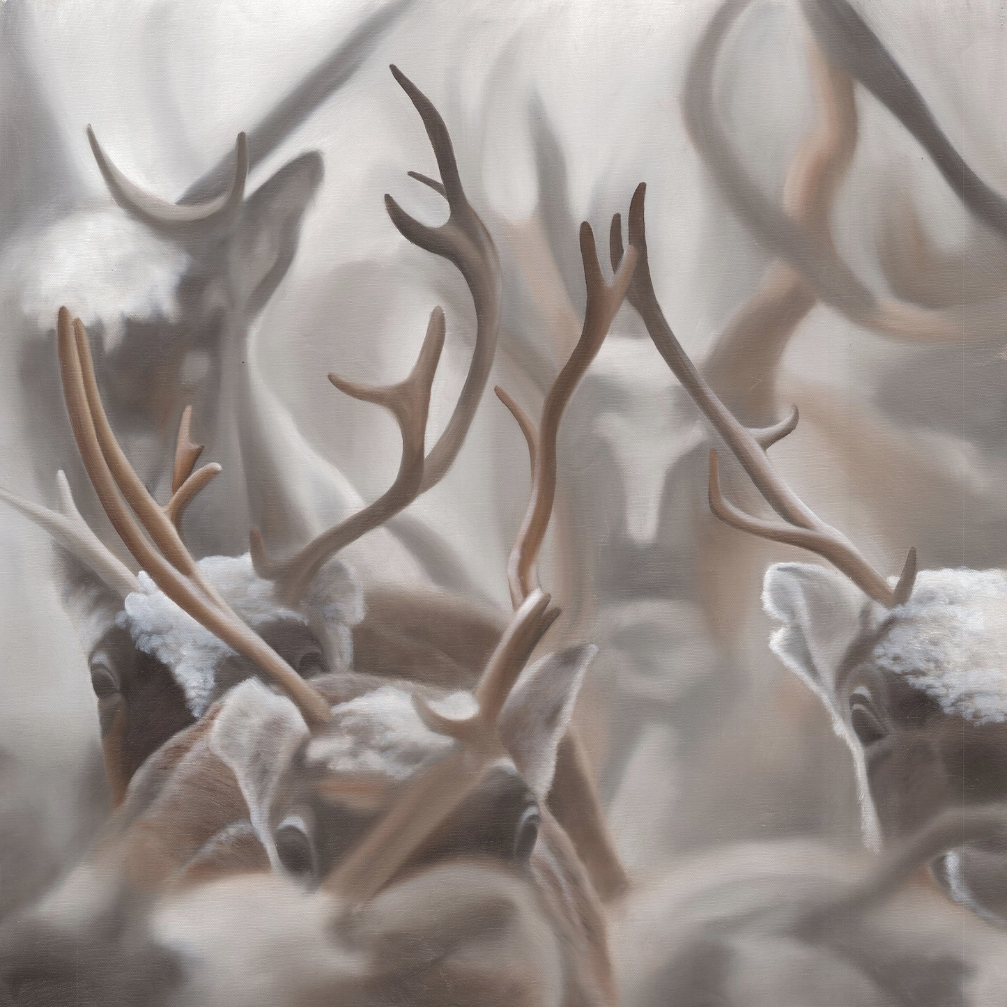 Reindeer Edition 1.3 50x50