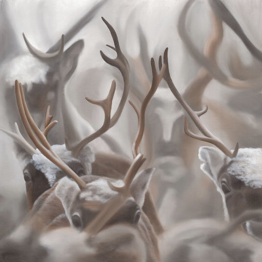 Reindeer Edition 1.3 50x50