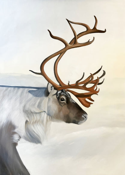 "WINTERLIGHT REINDEER" 42x60