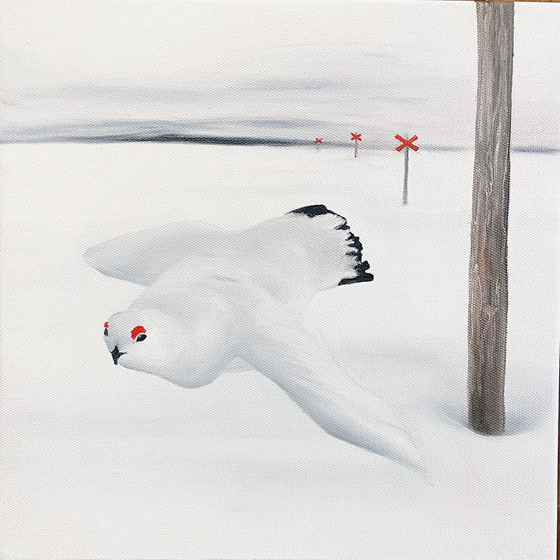 30x30