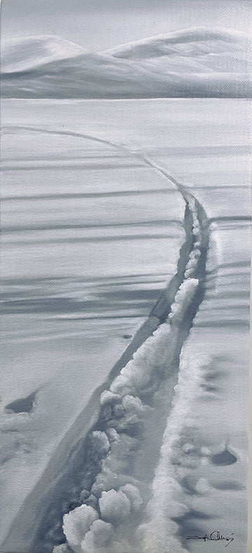 21x46