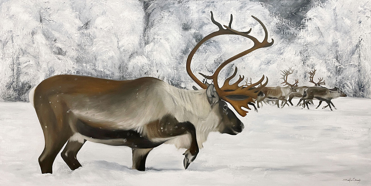 120x60