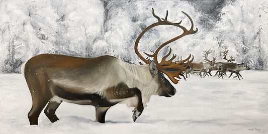 120x60