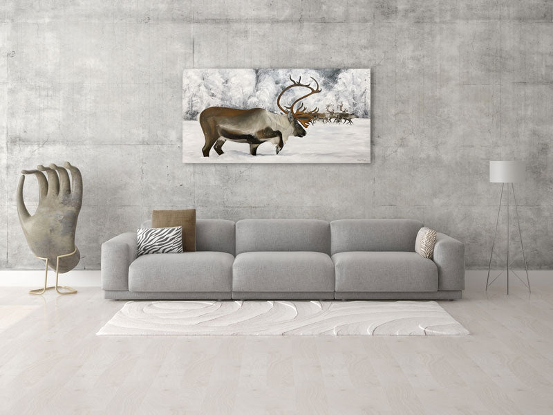 120x60