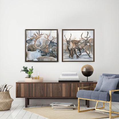 Reindeer Edition 1.5