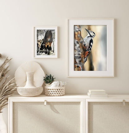 White-backed woodpecker 42x60