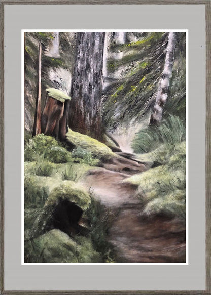 The forest 42x60