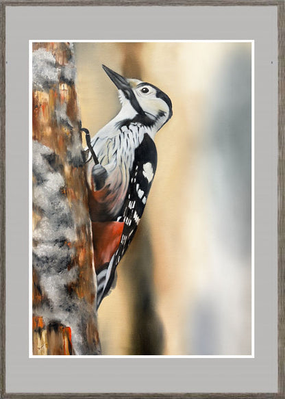 White-backed woodpecker 42x60