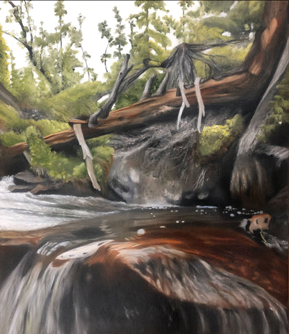 MOUNTAIN WATER 45x52