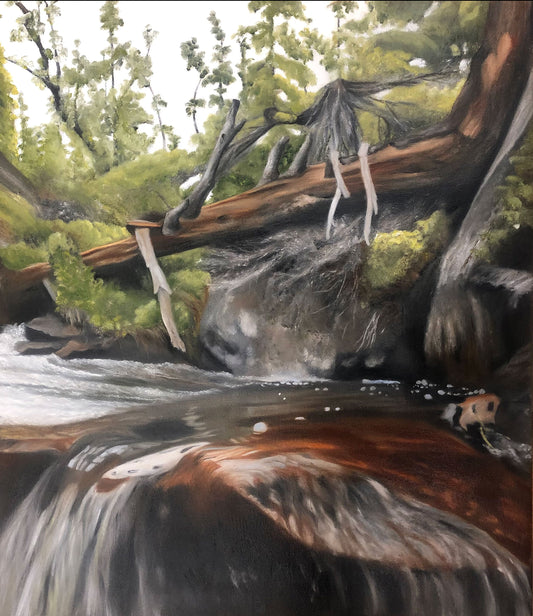 MOUNTAIN WATER 45x52