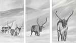 Triptyk Renar 80x45