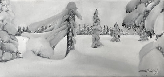 17x36