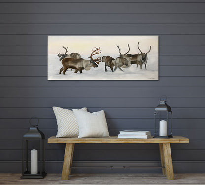 Reindeer fight 01 100x40