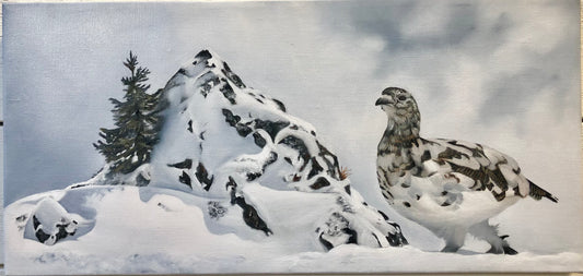 Olja/ Ripberget