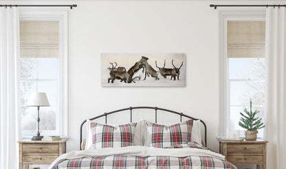 Reindeer fight 02 100x40