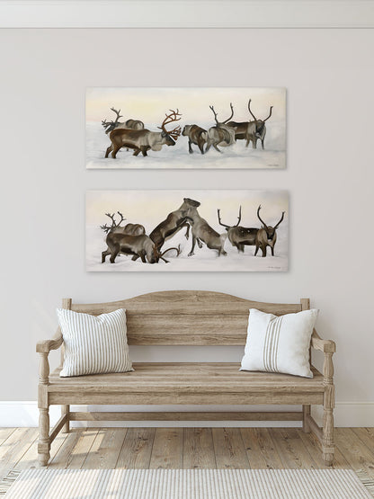 Reindeer fight 01 100x40