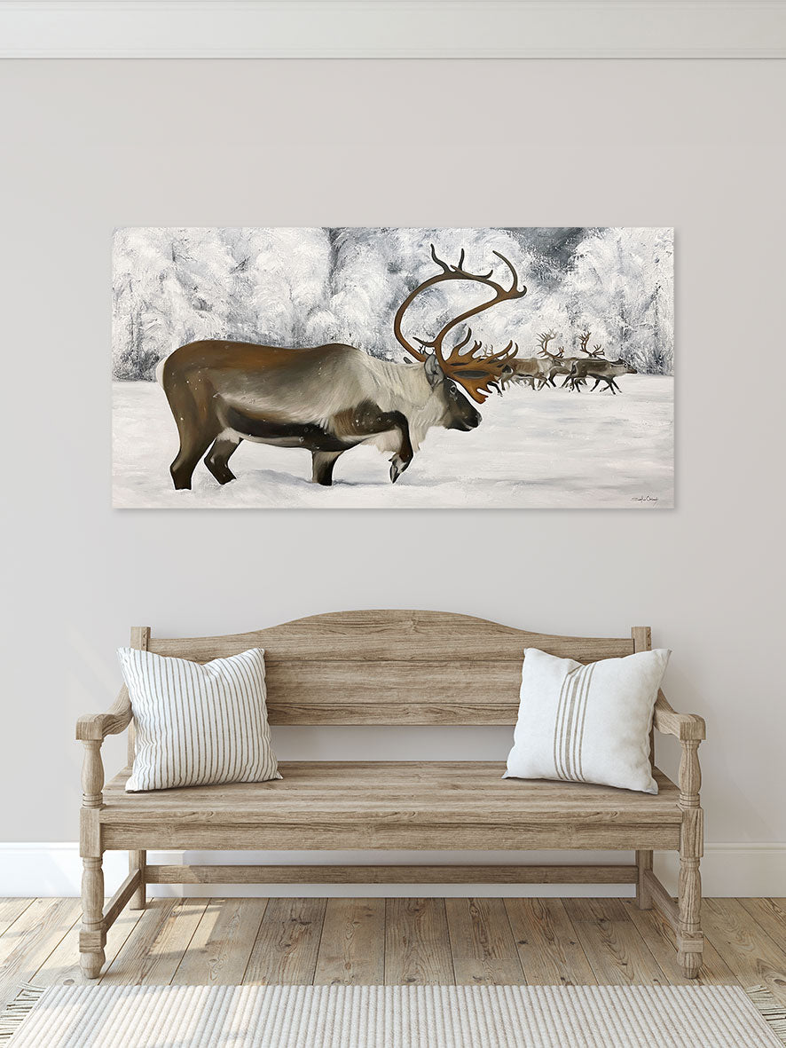 120x60