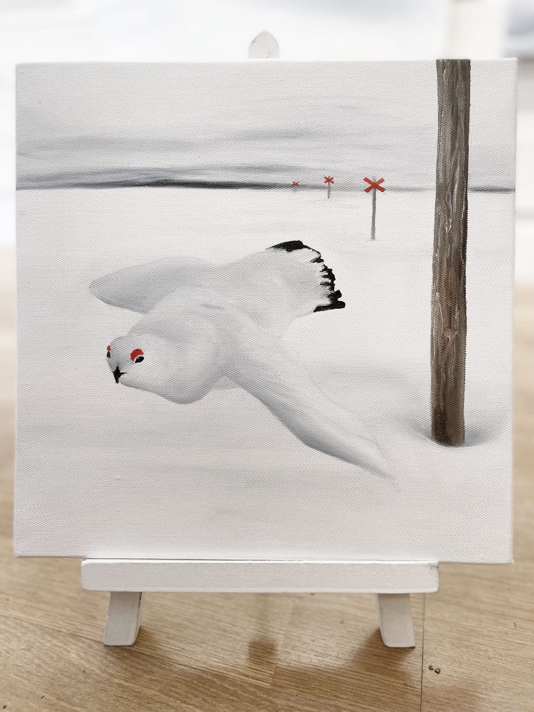 30x30