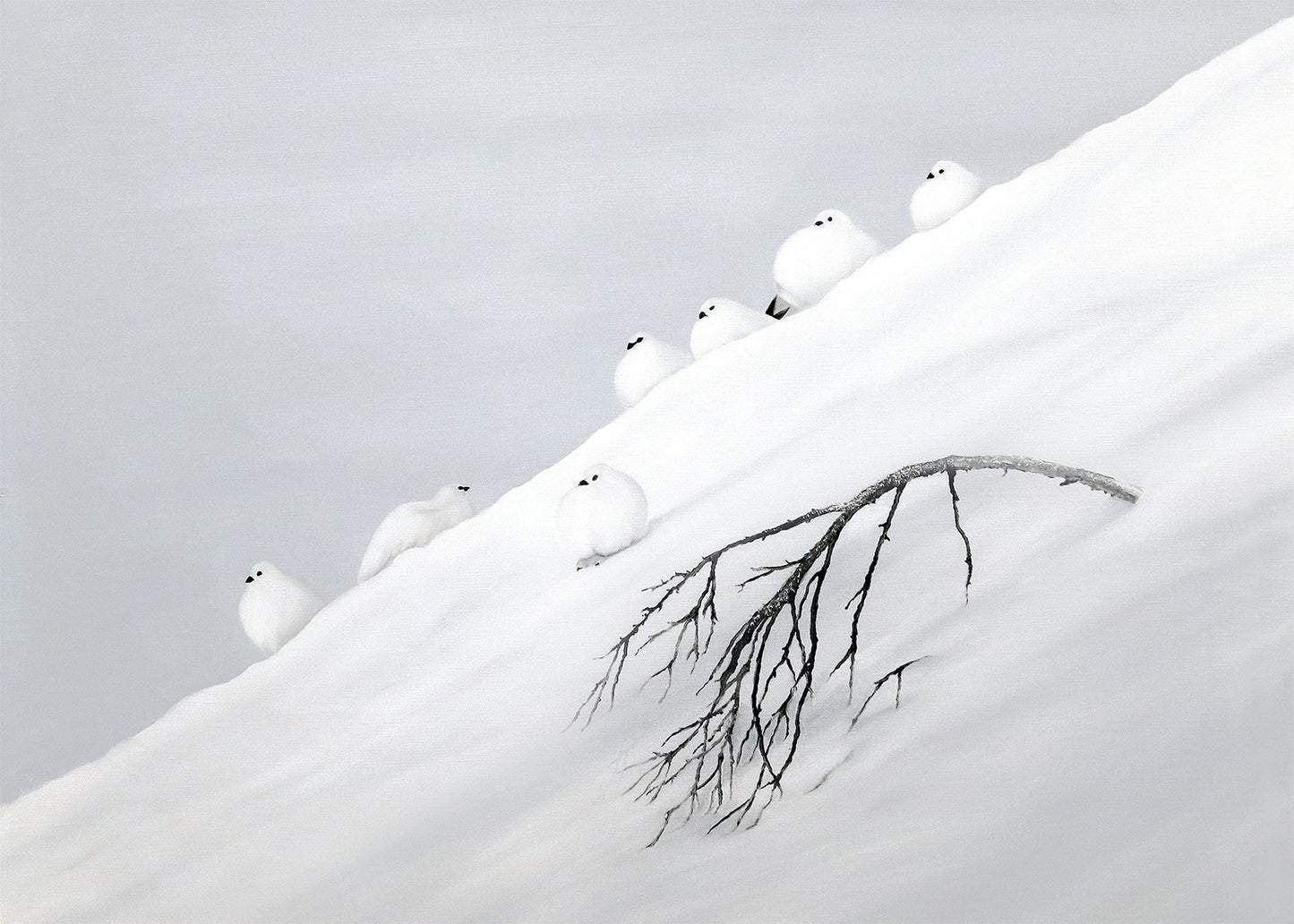 Winterbirds 60x42