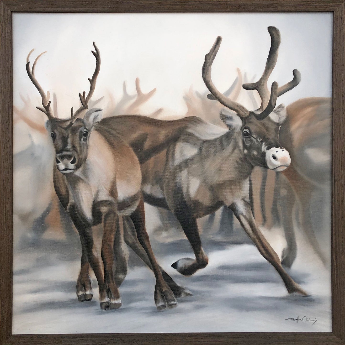 Reindeer Edition 1.5