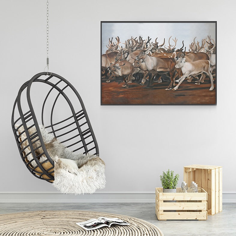 Reindeers 70x50