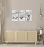Triptyk Renar 80x45