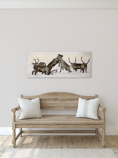 Reindeer fight 02 100x40