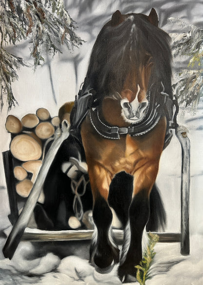 Horse 42x60