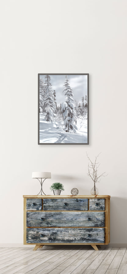 Winterlight Edition III 50x70