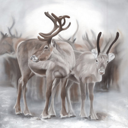 Reindeer Edition 1.4 50x50