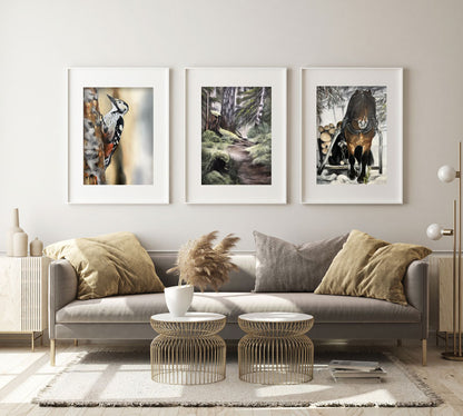 White-backed woodpecker 42x60