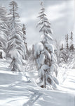 WINTERLIGHT EDITION A4 03