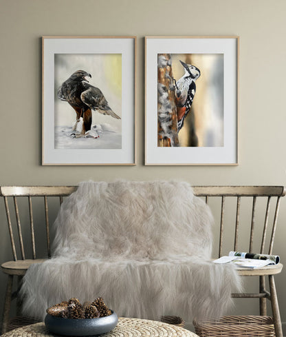 White-backed woodpecker 42x60