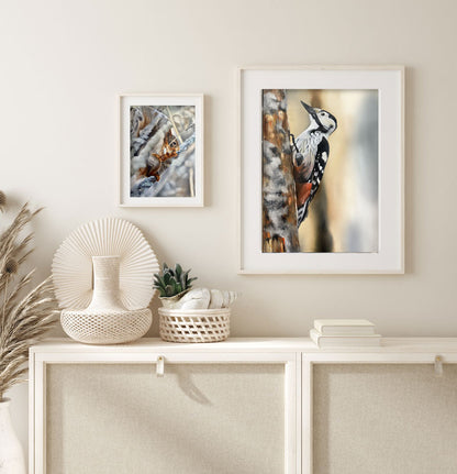 White-backed woodpecker 42x60