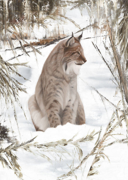 Lynx 50x70