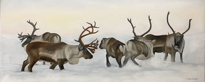 Reindeer fight 01 100x40