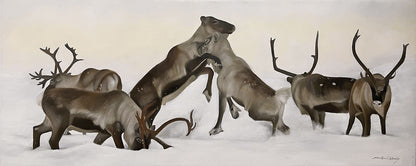 Reindeer fight 02 100x40