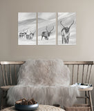 Triptyk Renar 80x45