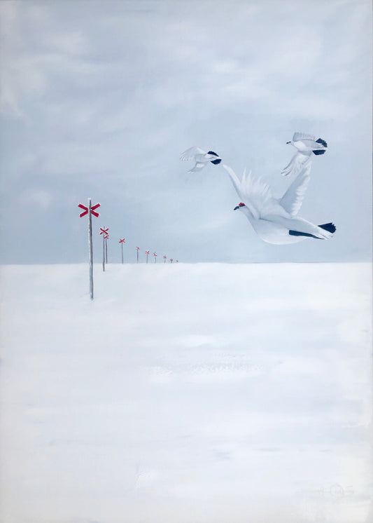 FOLLOW THE TRAIL 50X70